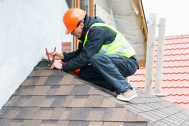 Best Roof Gutter Cleaning  in Brown Deer, WI